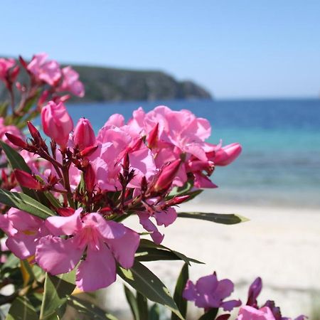 Akrotiri Summer Apartments Pefkochori Dış mekan fotoğraf