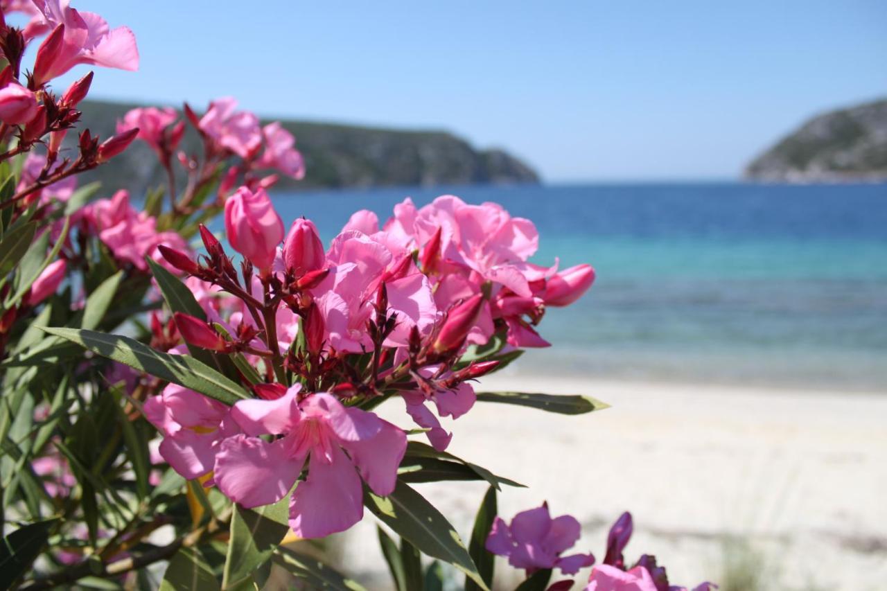 Akrotiri Summer Apartments Pefkochori Dış mekan fotoğraf